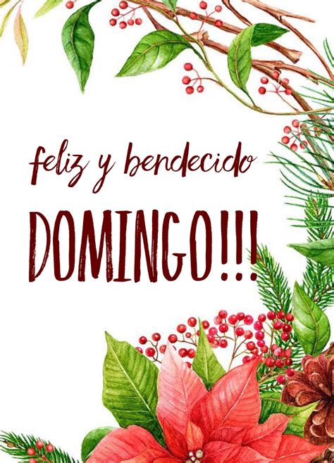 Feliz Domingo / Feliz Día / Domingo / Sunday / Happy ...