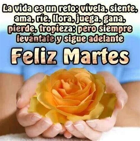 FELIZ MARTES..!★ | Buenos Dias | Pinterest