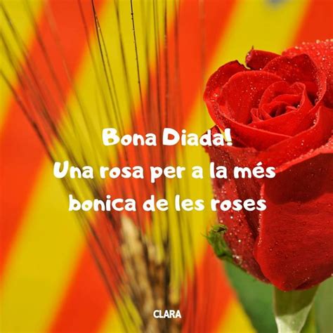 ¡Feliz Sant Jordi! 25 frases e imágenes para felicitar el día