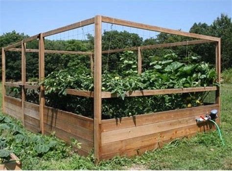 Fenced vegetable garden, Raised vegetable gardens ...