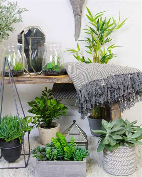 Feng Shui : cómo colocar y elegir tus plantas de interior   Foto 1