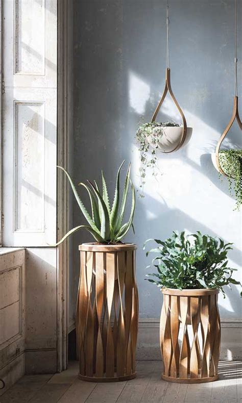 Feng Shui : cómo colocar y elegir tus plantas de interior   Foto 1