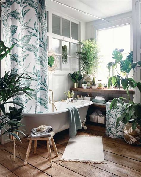 Feng Shui : cómo colocar y elegir tus plantas de interior   Foto 5