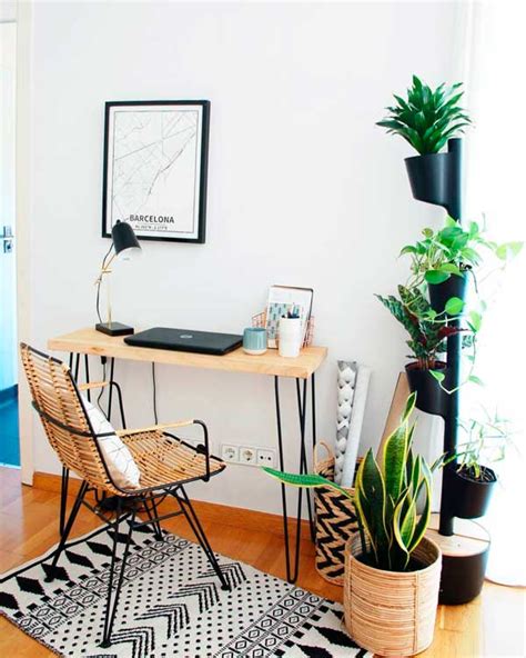 Feng Shui : cómo colocar y elegir tus plantas de interior   Foto 7