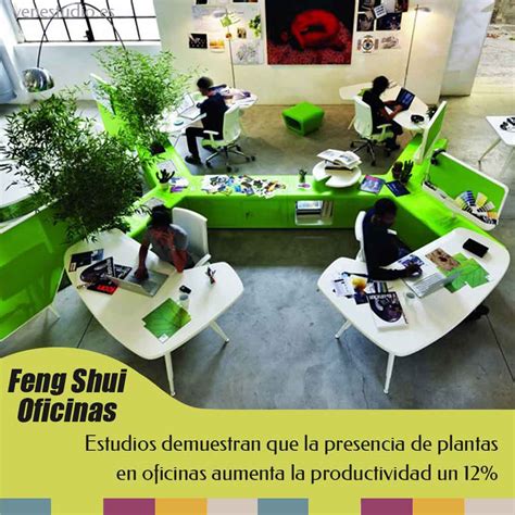 Feng Shui plantas en el trabajo | In Feng Shui