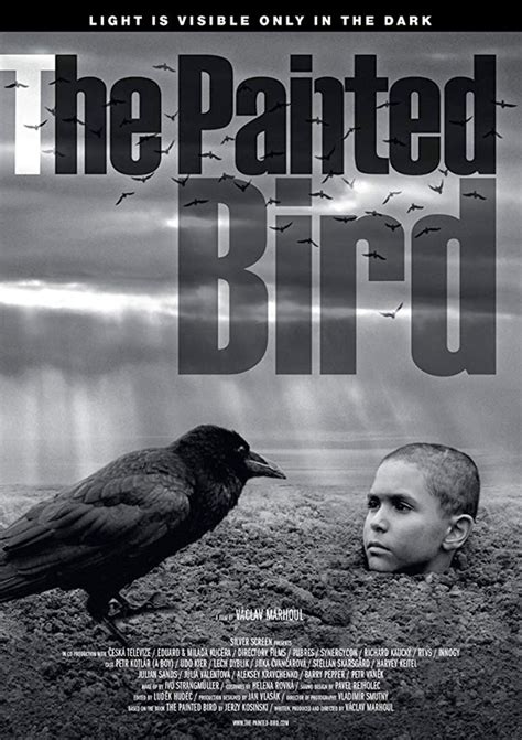 Festival Trailer for B&W Film  The Painted Bird ...