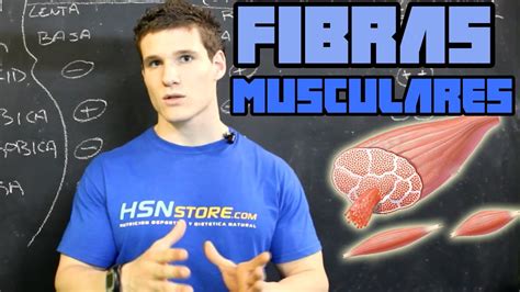 Fibras musculares   YouTube
