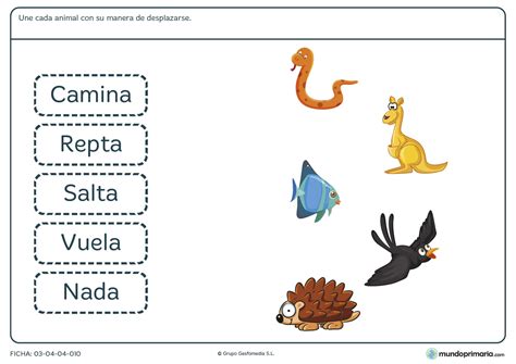 Ficha de la manera de desplazarse de los animales para primaria   Mundo ...