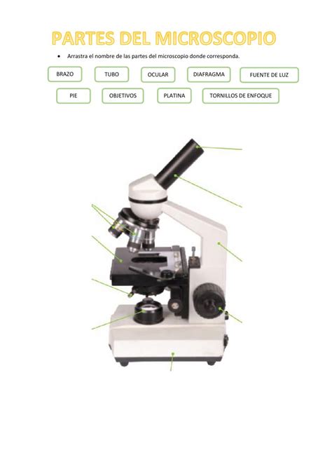 Ficha de Partes del microscopio