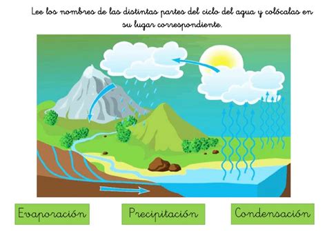 Ficha online de Ciclo del agua para Educación Infantil