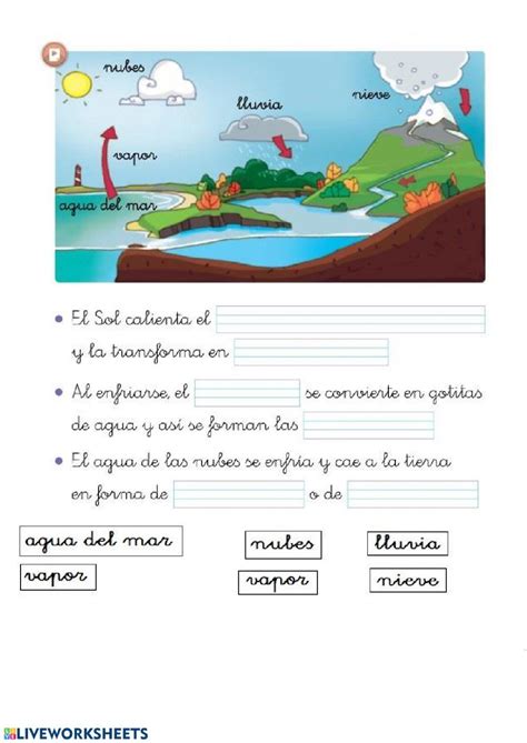 Ficha online de El ciclo del agua para Primero de Primaria ...