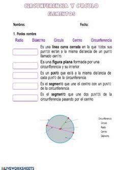 Ficha online de La circunferencia y el círculo para 4º. Puedes hacer ...