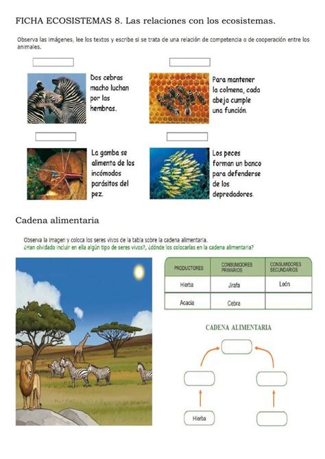 Ficha online de Los ecosistemas para 4º. Puedes hacer los ...