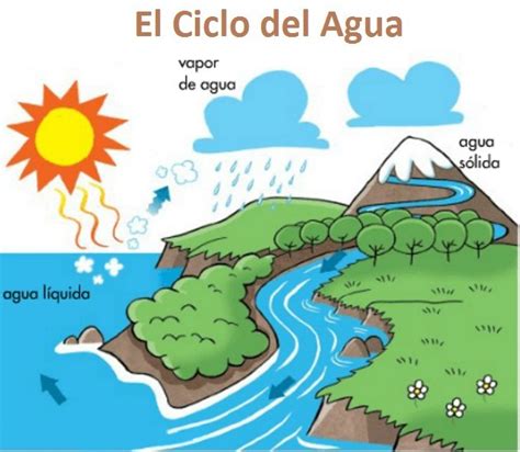 Fichas y actividades para enseñar el ciclo del agua