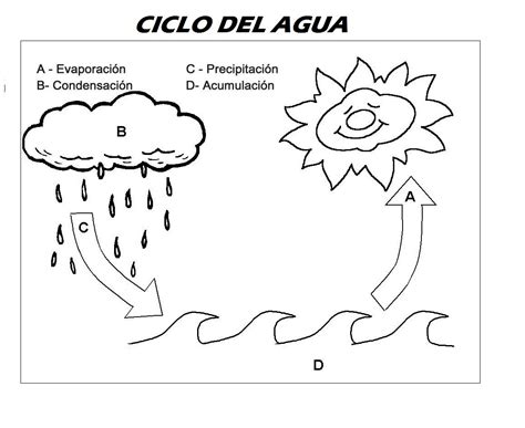 Fichas y actividades para enseñar el ciclo del agua