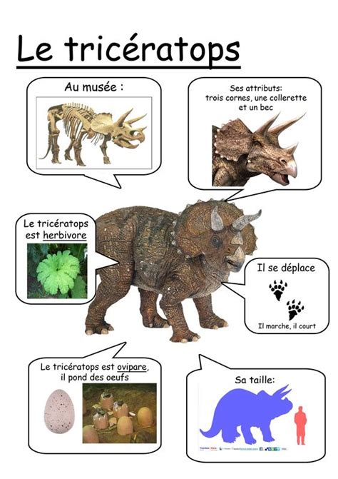 Fiche tricératops … | enfant | Pinterest | Printed