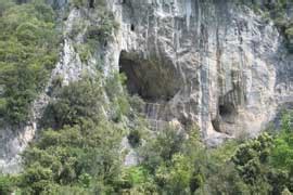 Figuras grabadas de la cueva de Venta Laperra | Patrimonio ...