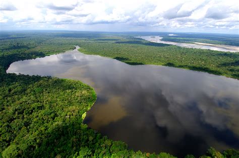 File:Amazonia ecuador.jpg   Wikimedia Commons