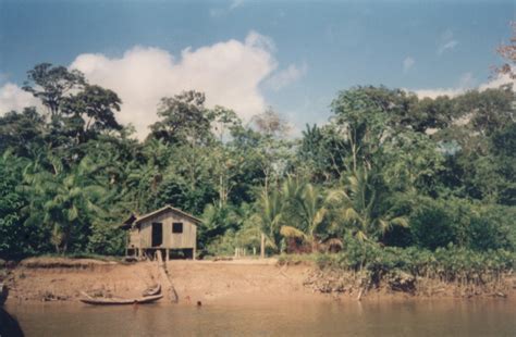 File:Amazonia moradia.jpg   Wikimedia Commons
