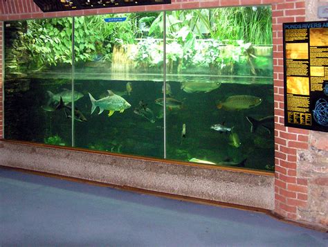 File:Bristol.zoo.aquarium.arp.jpg   Wikimedia Commons