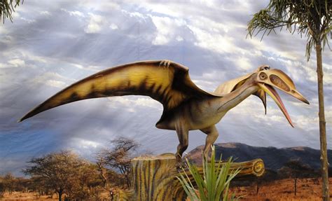 File:Dinosaurios Park, Pterosauria2.JPG