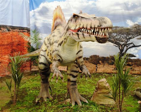 File:Dinosaurios Park, Spinosaurus2.JPG   Wikimedia Commons