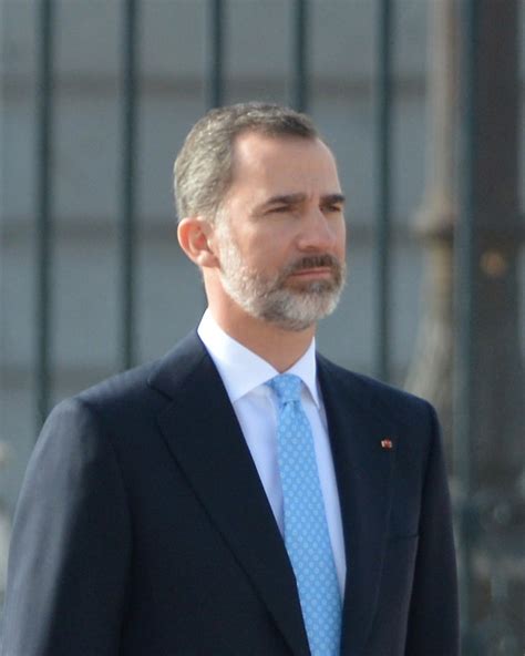 File:King of Spain  2017, cropped .jpg   Wikimedia Commons