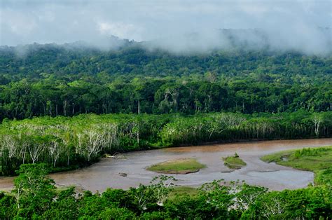 File:Madidi Nationalpark Amazonas Bolivien.jpg   Wikimedia ...