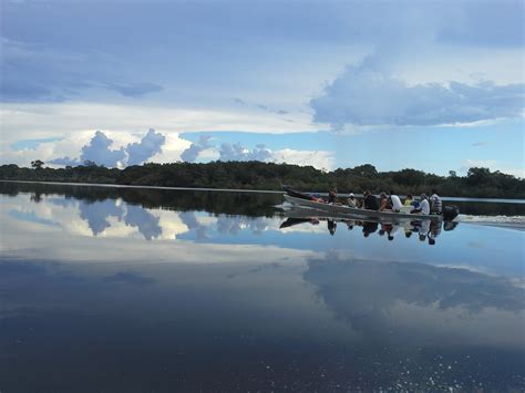 File:Rio Amazonas durante o dia.jpg   Wikimedia Commons
