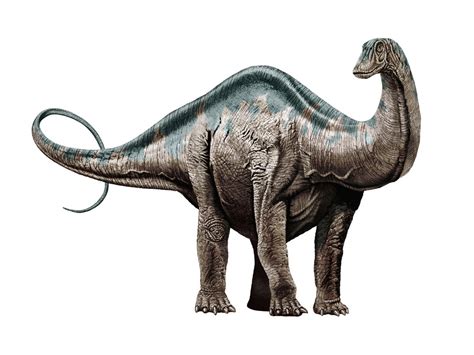FIM DOS TEMPOS: o que aconteceu com os Dinossauros
