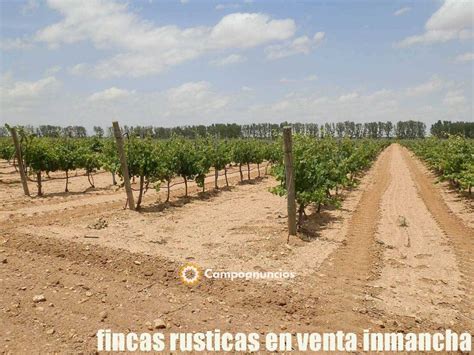 finca en venta inmancha viña almendros en Ciudad Real · Campoanuncios