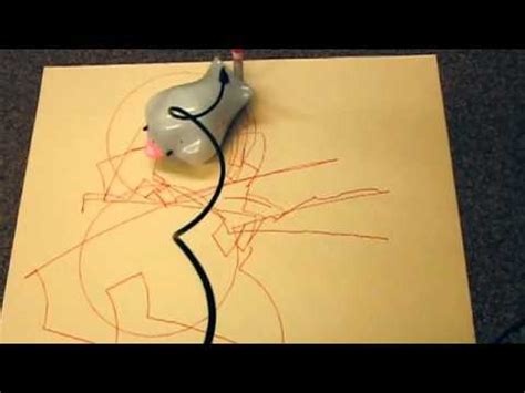 Finch Robot in YOUmedia   YouTube
