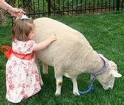Find Kid s Birthday Party Petting Zoo Rentals! | Fun ...