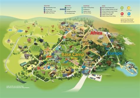 Find your way around ZSL Whipsnade Zoo with our Zoo Map | Zoo map, Zoo, Map