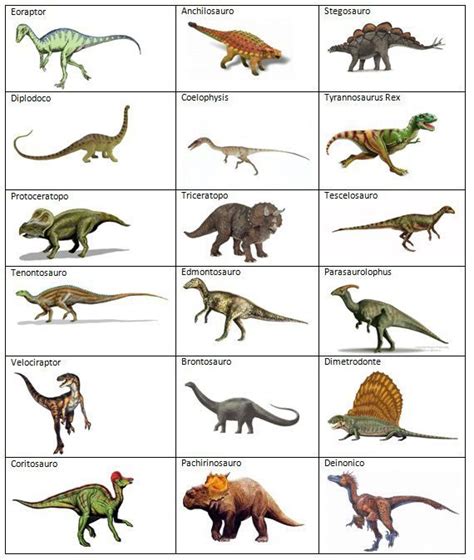 First Grade  Types of Dinosaur Species | School For ...