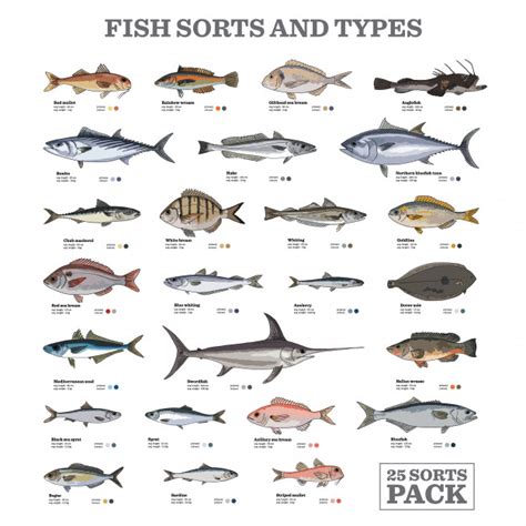 Fischarten und arten | Download der Premium Vektor