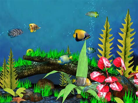 Fish Aquarium 3D Salvapantallas   Descargar Gratis