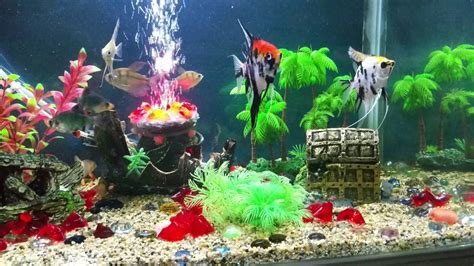Fish tank decoration.   YouTube