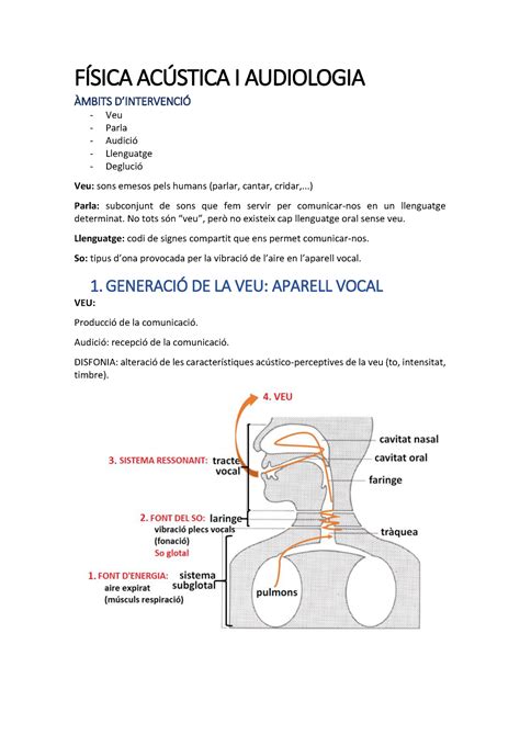 Fisica Acustica I Audiologia   101708   UAB   StuDocu