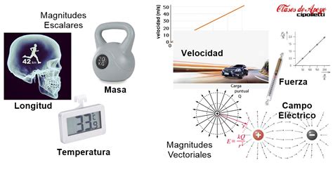 Física Experimental: Magnitudes escalares, vectoriales y tensoriales