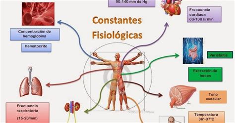 Fisiología básica: Constantes Fisiológicas