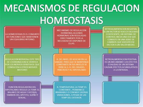 FISIOLOGIA BASICA: Homeostasis y Sistemas de Regulacion