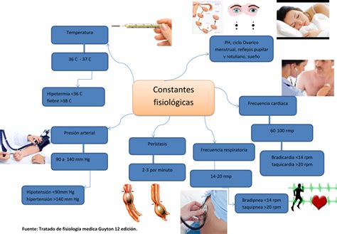 Fisiología Básica :  Mapa Conceptual  Mapa Mental  Homeostasis ...