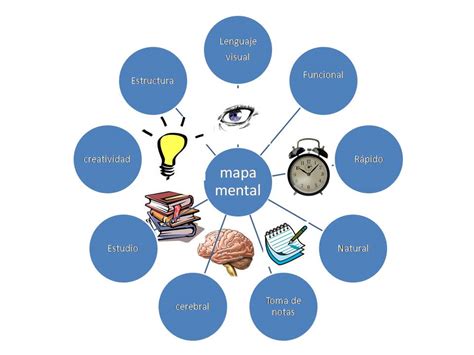 Fisiología del Sebas: Mapa mental sobre mapa mental