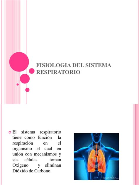 Fisiologia Del Sistema Respiratorio | Sistema respiratorio | Respiración