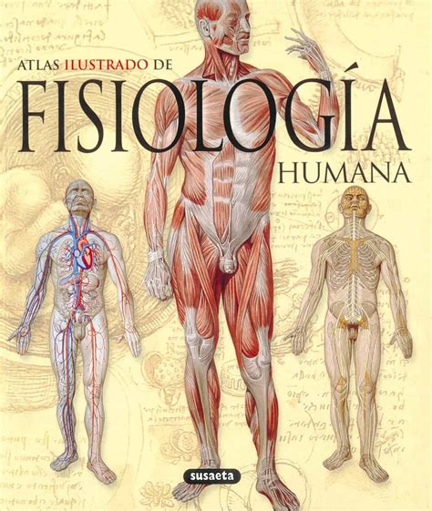FISIOLOGIA HUMANA: ATLAS ILUSTRADO | VV.AA. | Comprar libro 9788430572656