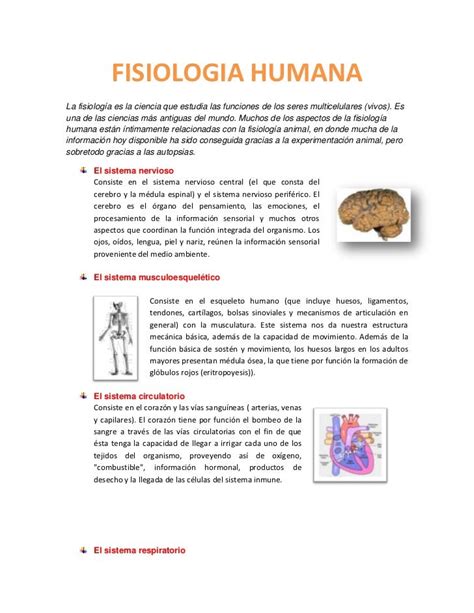 Fisiologia humana