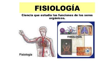 Fisiologia Rama De La Biologia   PMR