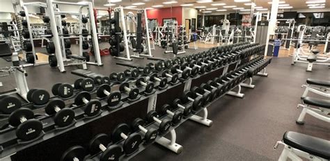 Fitness 19 Gym Secane PA | Fitness Center & Health Club ...