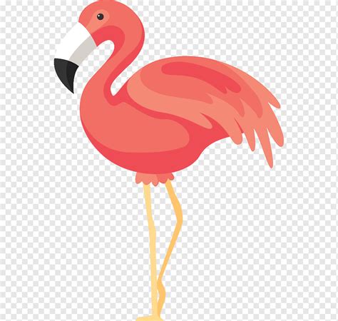 Flamenco rosado, icono de renderizado de flamencos, flamencos, pollo ...